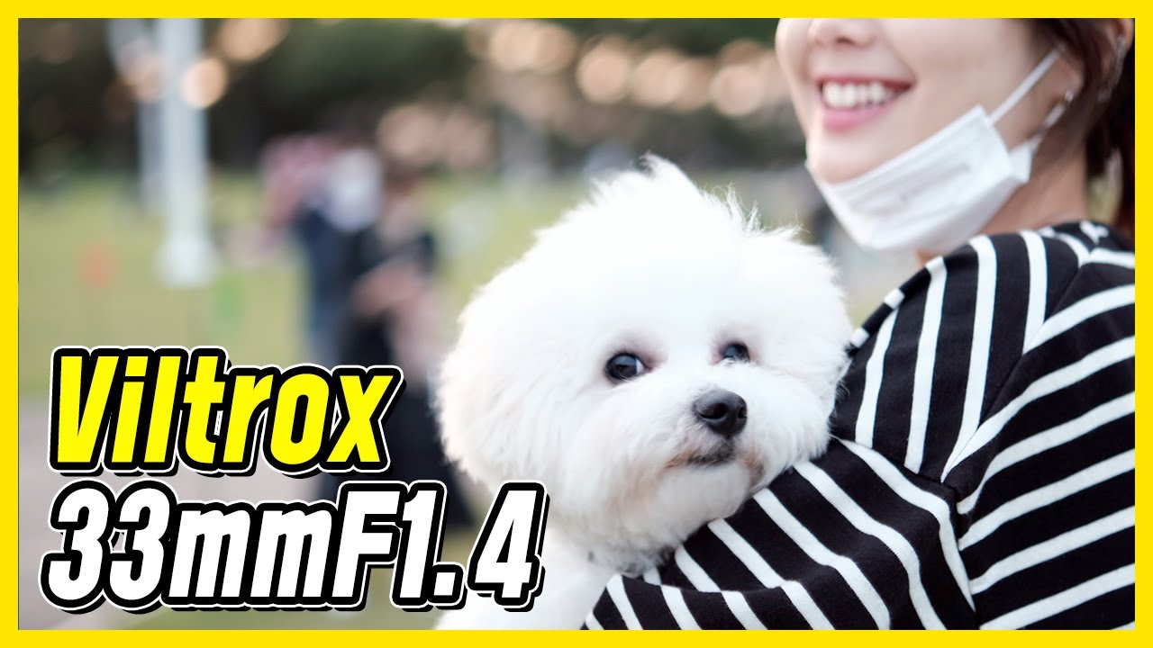 후지카메라의 단짝 빌트록스 단렌즈 33mmF1.4 XF / viltrox