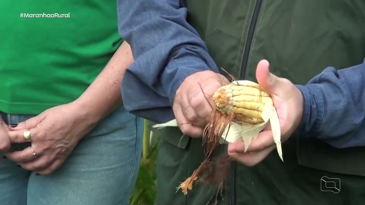 SENAR TRANSFORMA A REALIDADE DE UM PRODUTOR RURAL EM CHAPADINHA