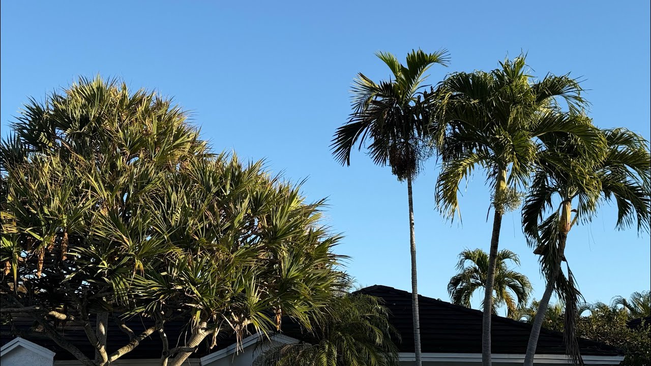 Amour d’Hachem et amour de l’autre