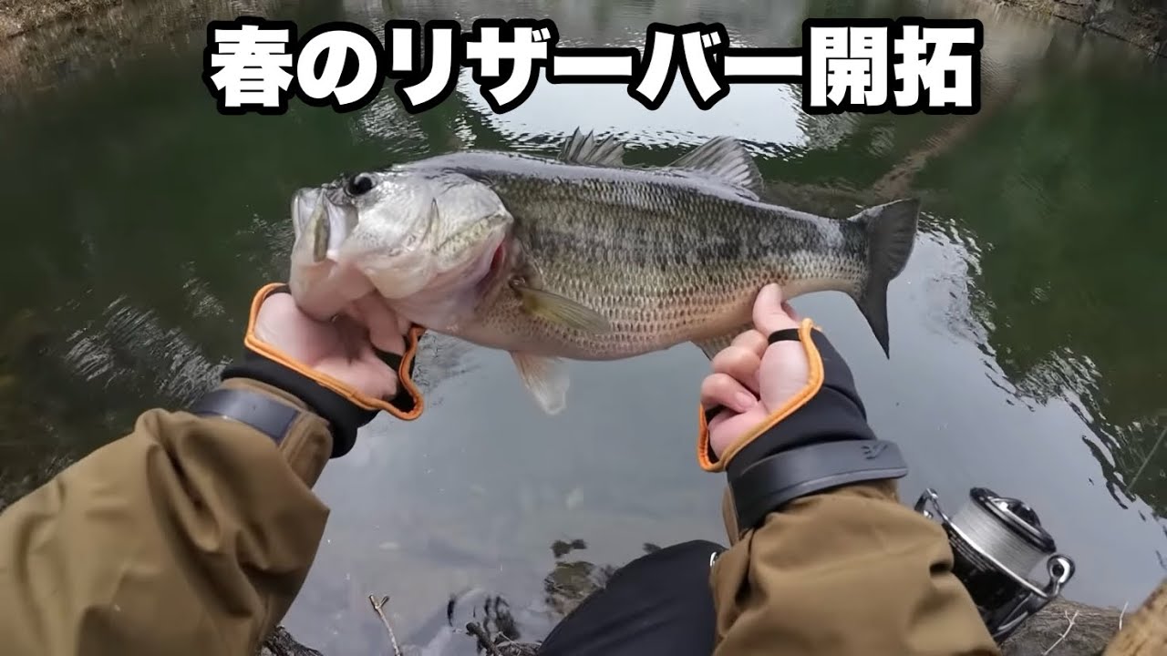 真冬に活躍したあのルアーでいきなりデカバスが突き上げて来た‼︎