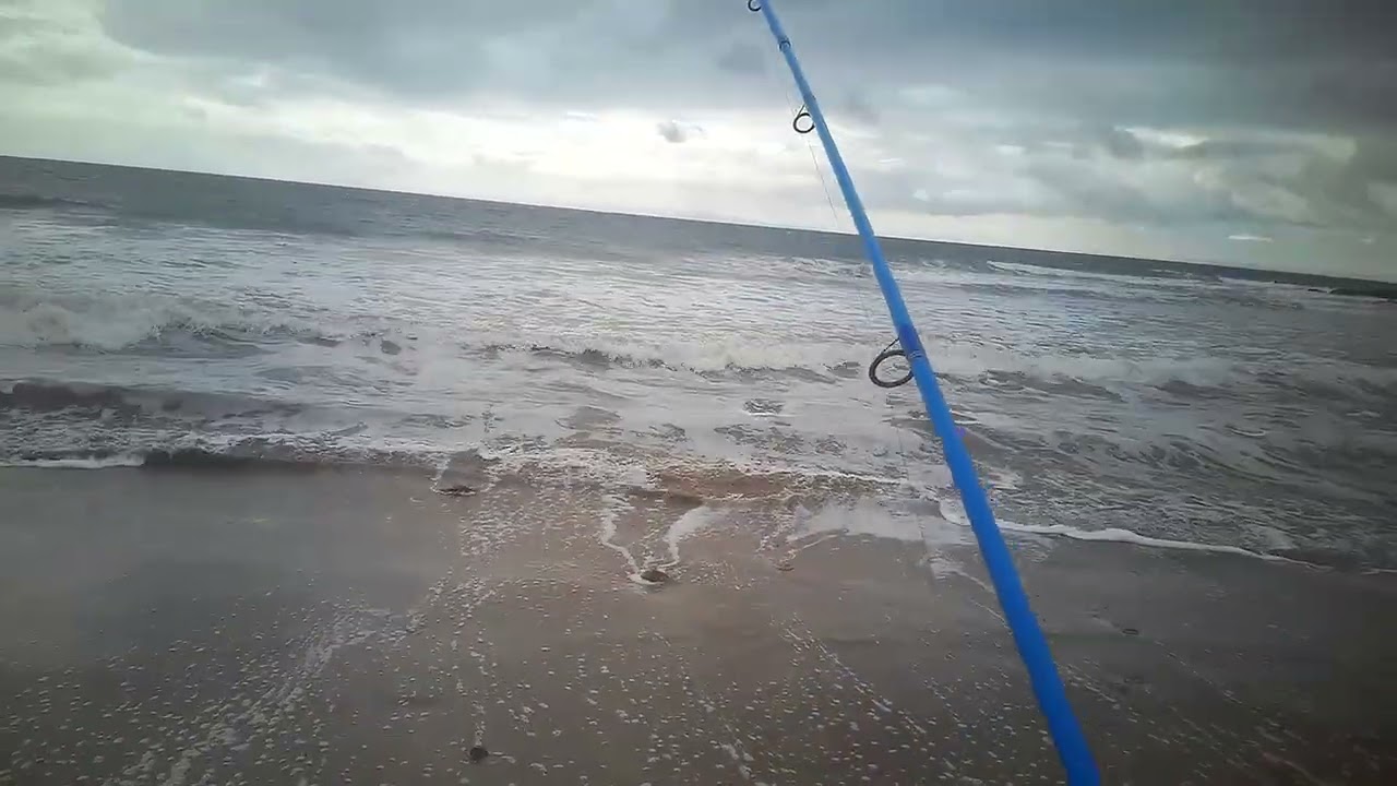 Caught five or six perch cause we're supposed to have rain for the next few days😊💕🎣🎣🎣🎣🎣🤙🏻￼ ￼