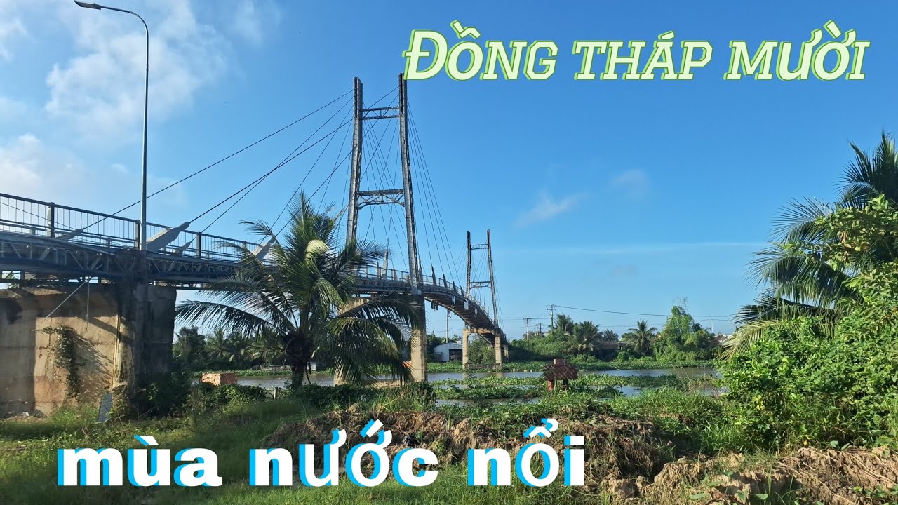 Khám Phá Cung Đường Đến Vùng Đồng Tháp Mười