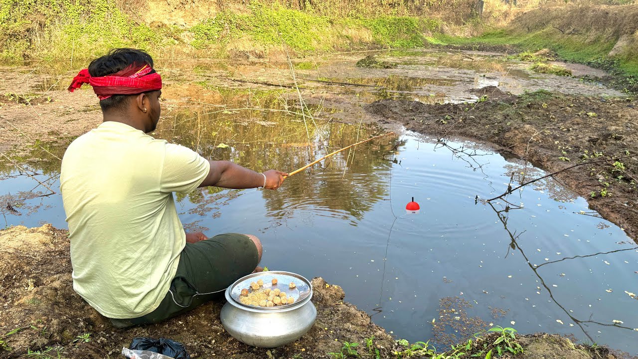 Fishing Video || Everyone is surprised to see a traditional boy catching fish with a hook || Fish