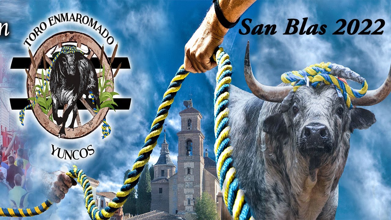 San Blas 2022  el regreso Toro Enmaromado de Yuncos