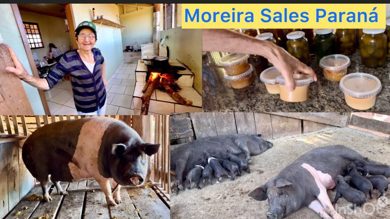 Com esta idade e com muita disposição # produz de tudo em seu sítio e vende sua produção na cidade