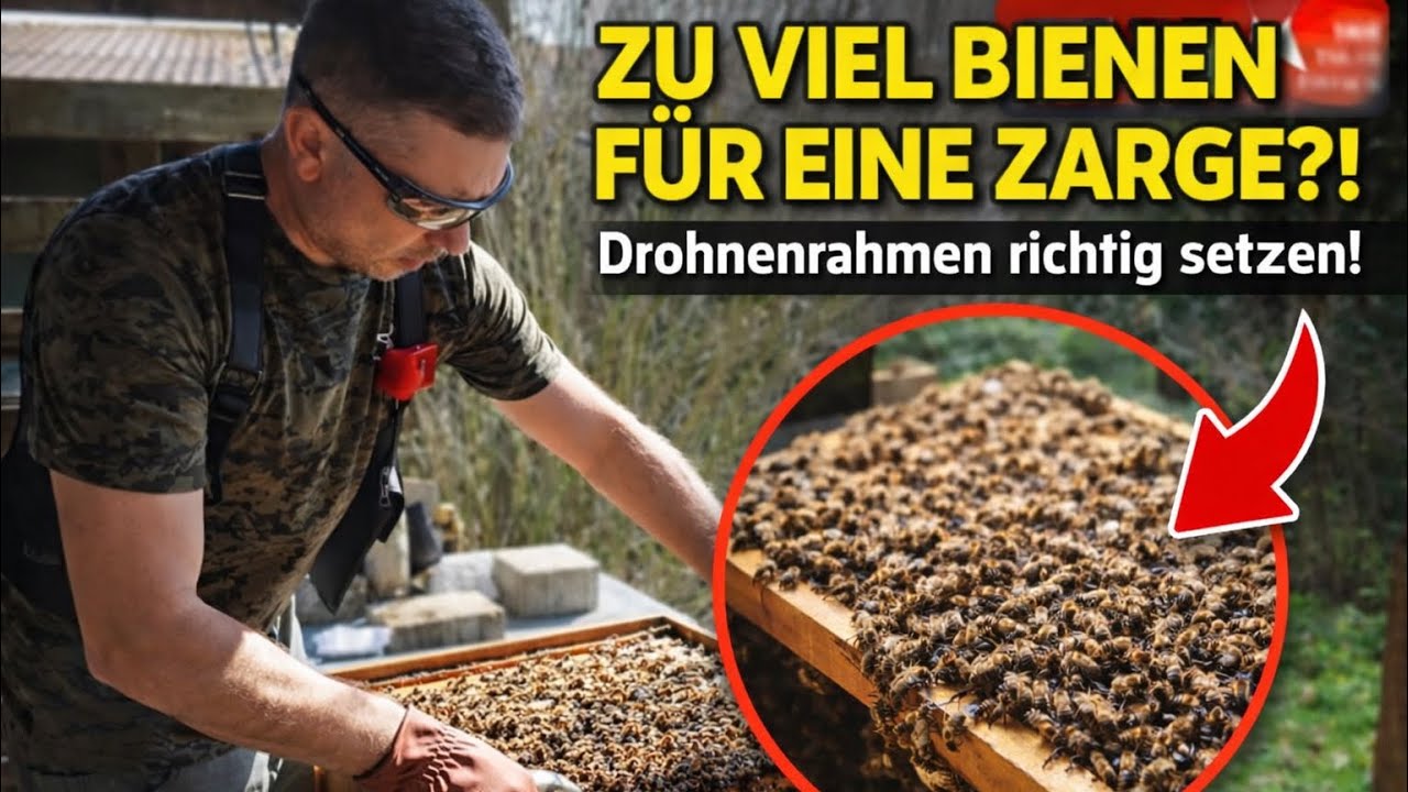 Drohnen Rahmen richtig setzten !