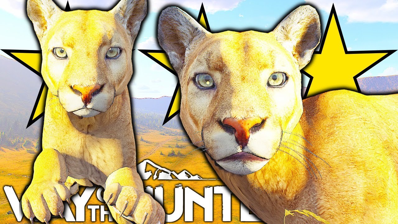 Two Five Star North American Cougars! | Way of the Hunter