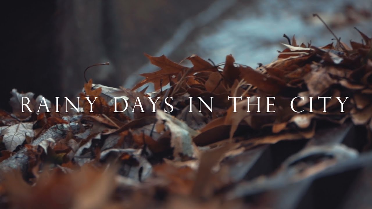 Rainy Days Video || Rain in the city || Cinematic Rain Video