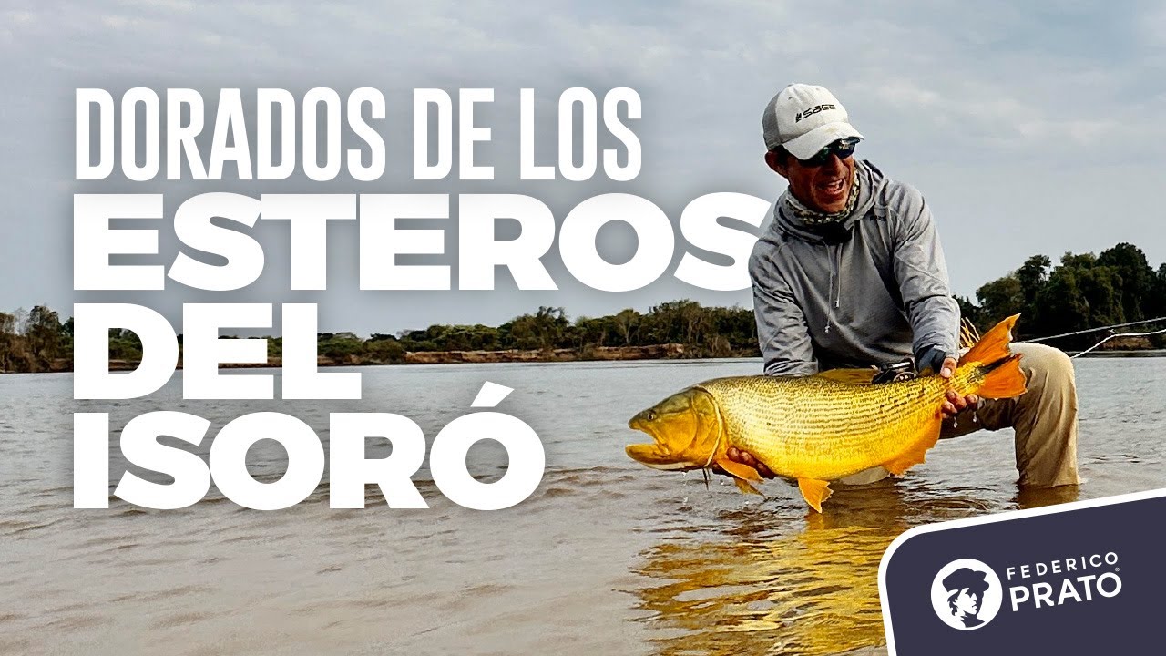 Dorados de los Esteros del Isoró