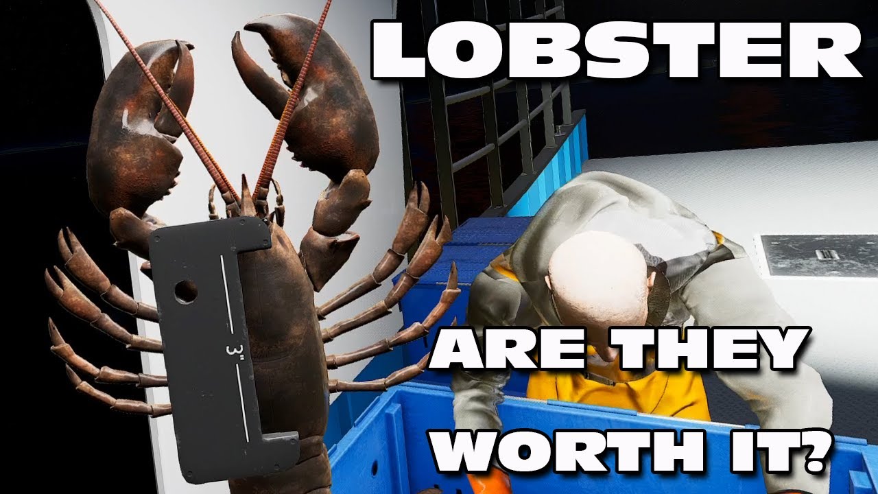 Fishing: North Atlantic - Are lobster worth catching?