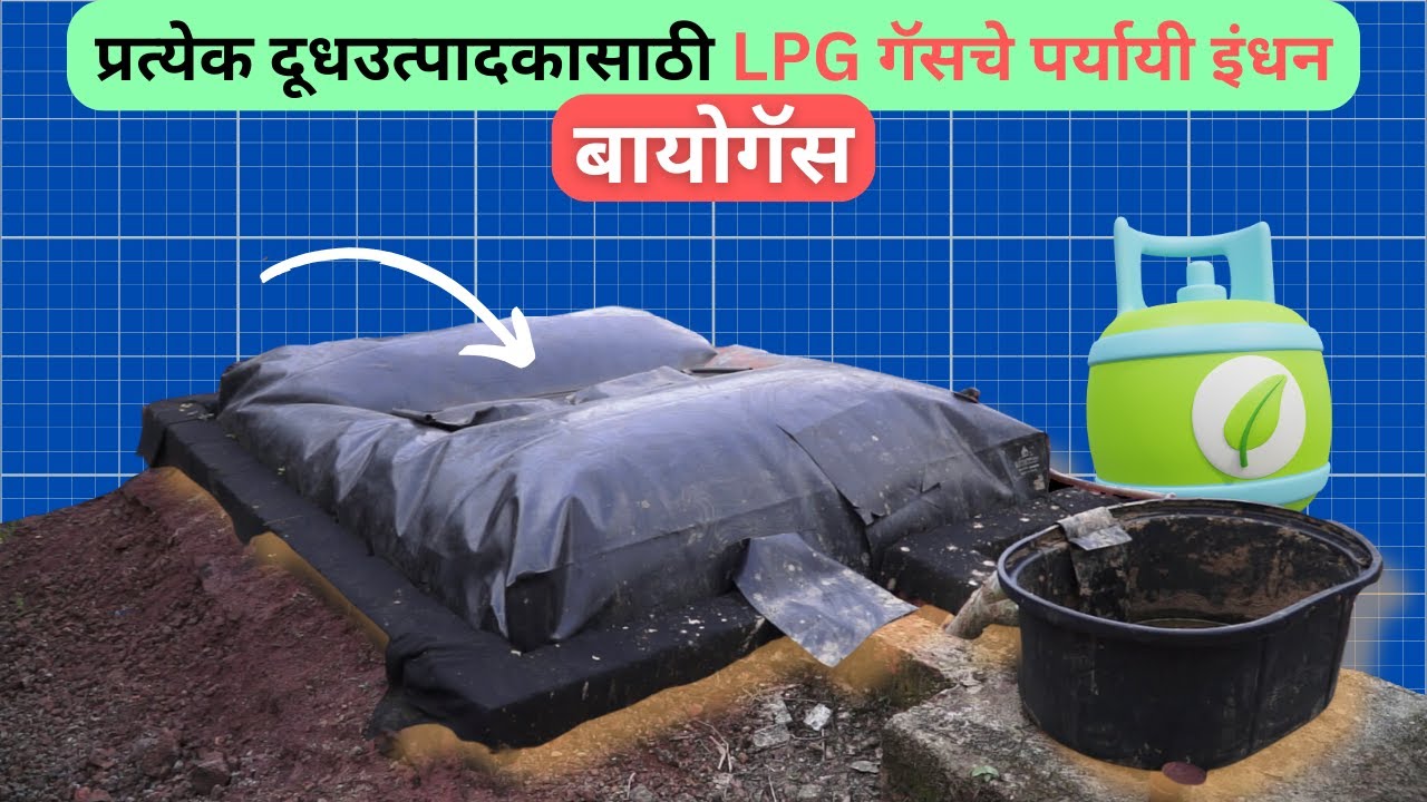प्रत्येक दूधउत्पादकासाठी LPG गॅसचे पर्यायी इंधन - बायोगॅस