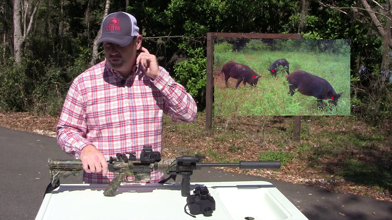 Tips for hunting hogs at night | Night Vision Setup