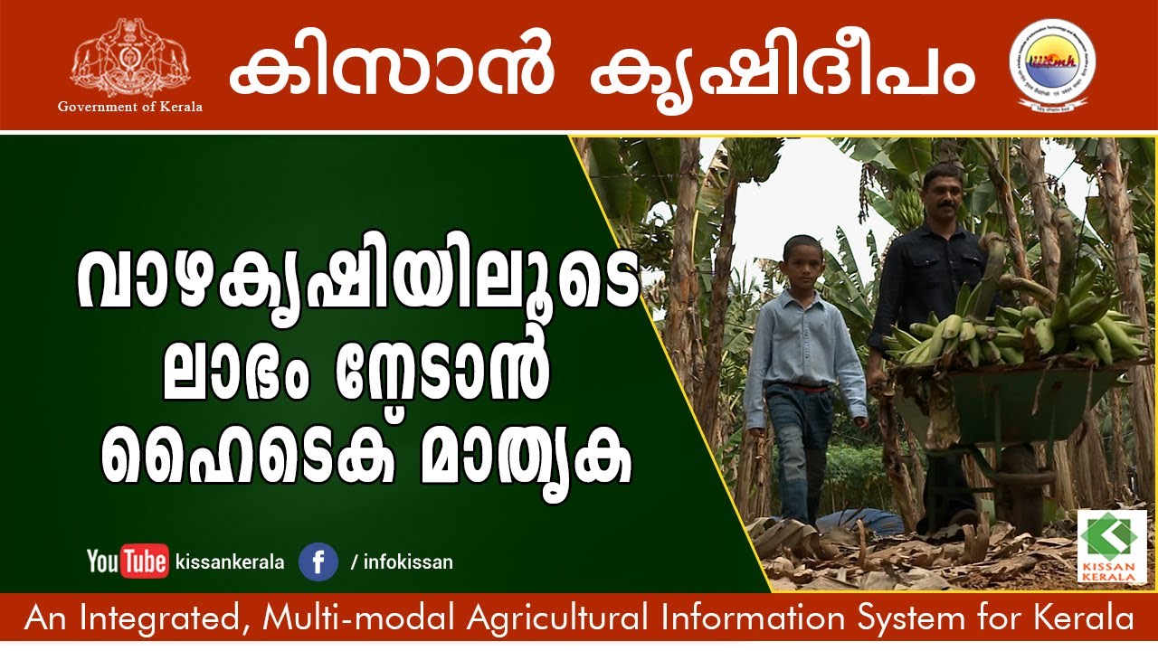 Kissan Krishideepam Episode-976 Part-1 - Hi-tech banana farming for profit