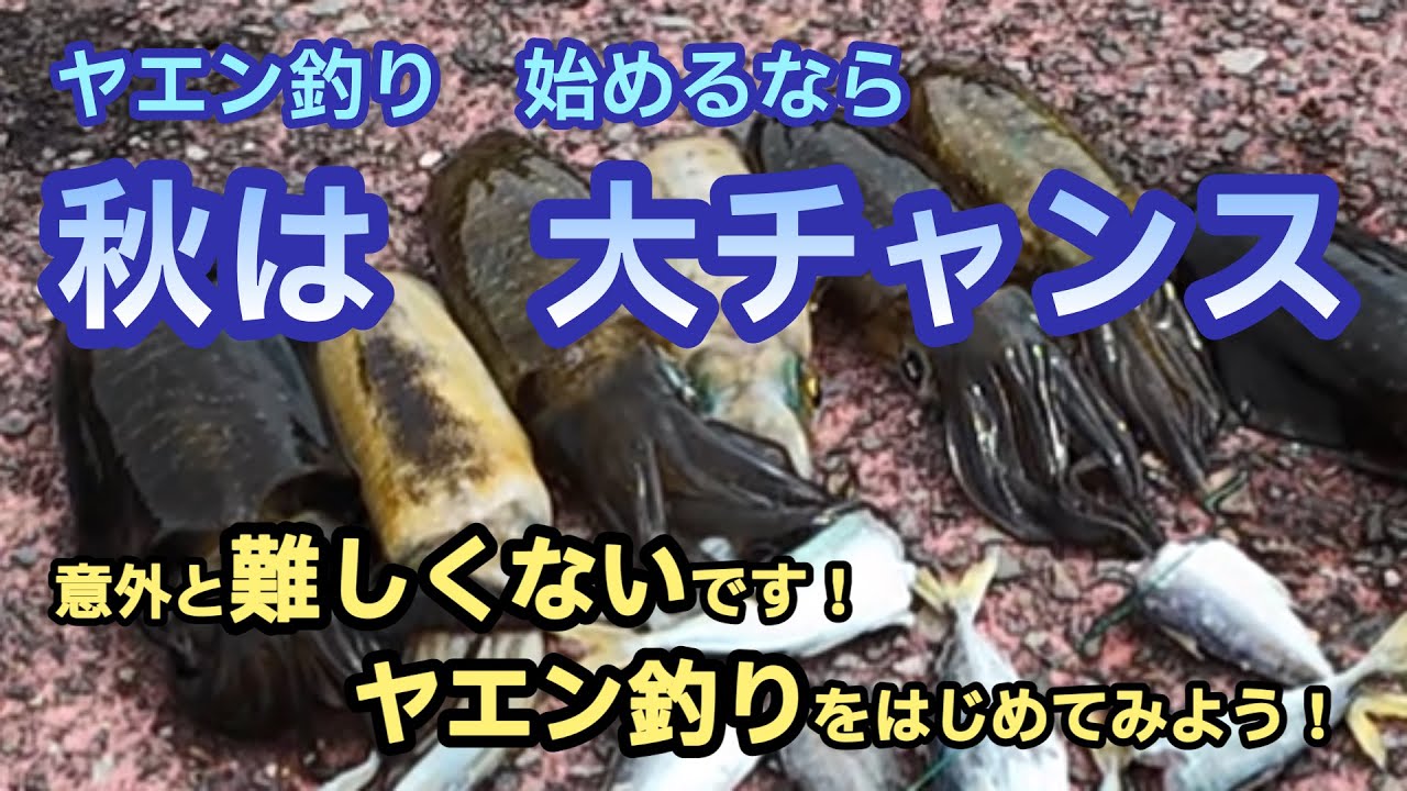 ヤエン釣りを始めるなら　秋は大チャンス　秋こそヤエン釣りを始まてみよう　釣り方、道具、コツを紹介
