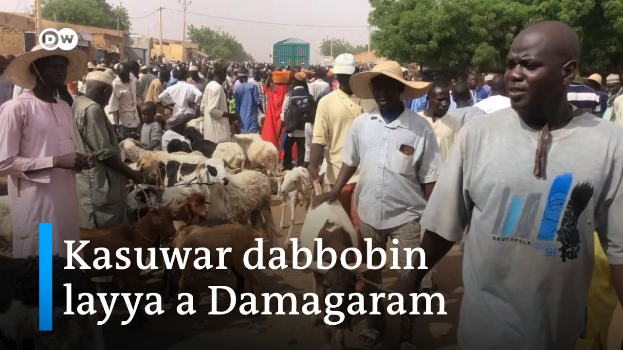 Kasuwar dabbobi ta kankama a Nijar