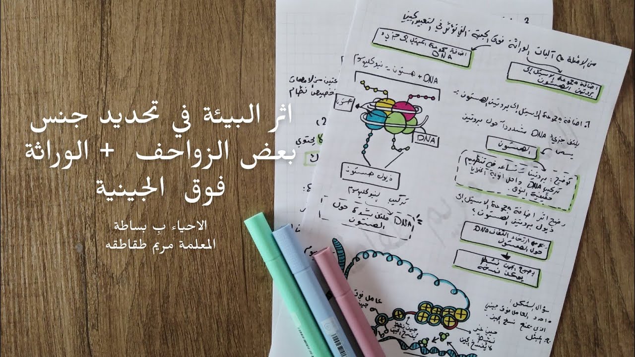 احياء توجيهي |اثر البيئة في تحديد جنس بعض الزواحف + الوراثة فوق الجينية|المعلمة مريم طقاطقه