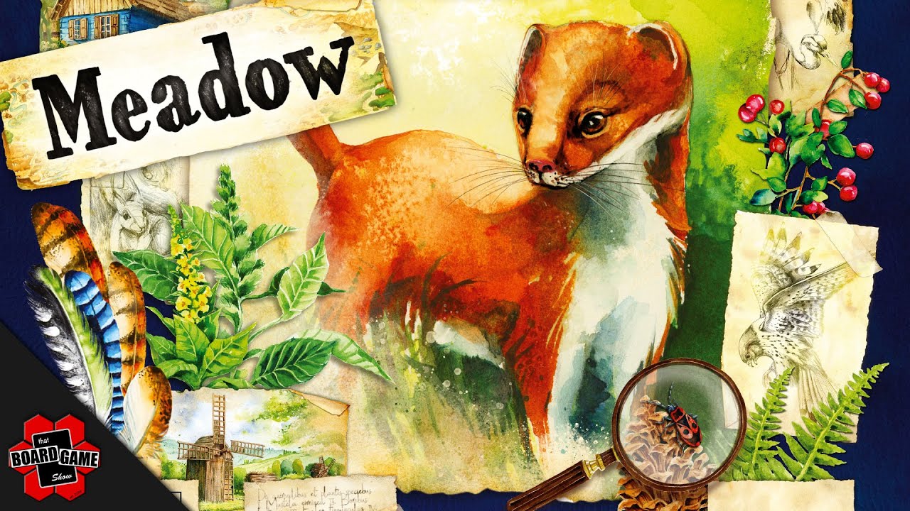 Meadow | Explained