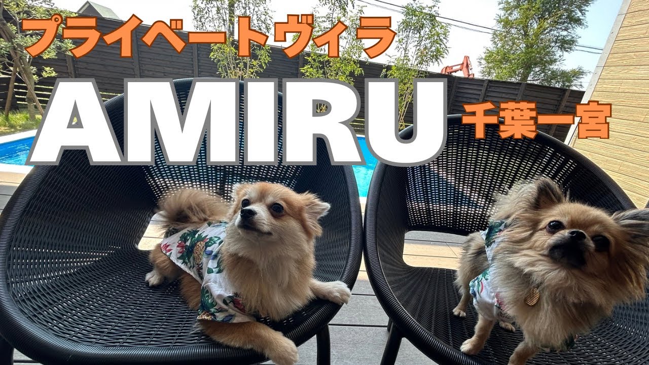 【ちゃたこまの夏休み🌟】プライベートヴィラ千葉一宮に宿泊🐶💓海に行ったり、走ったり、プールで泳いだりと大満喫🏊🏄💕