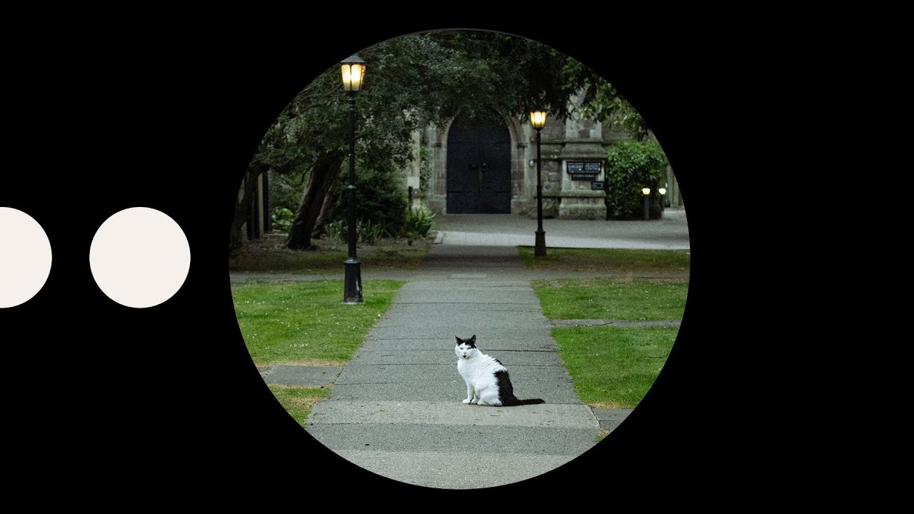 SMS038 - Mhrrmv