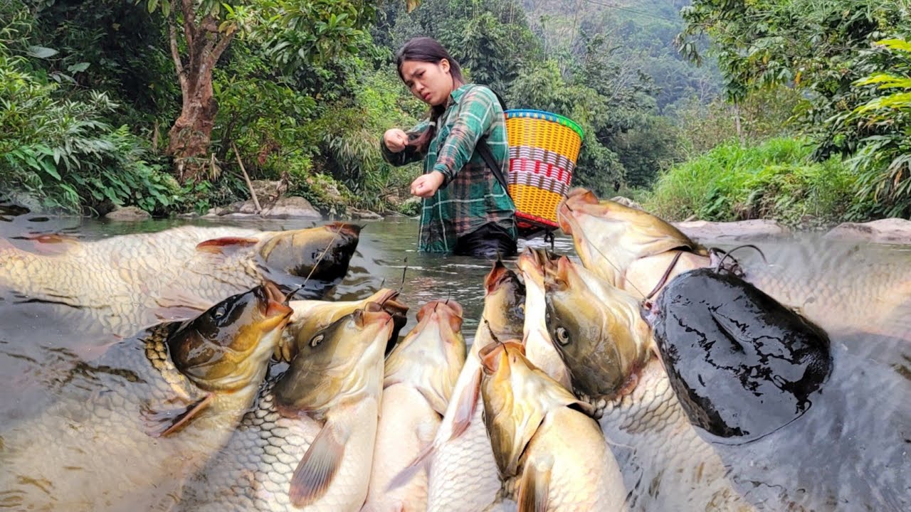 Traditional fishing techniques - Girl catches 30 kilograms of fish using only simple traps.