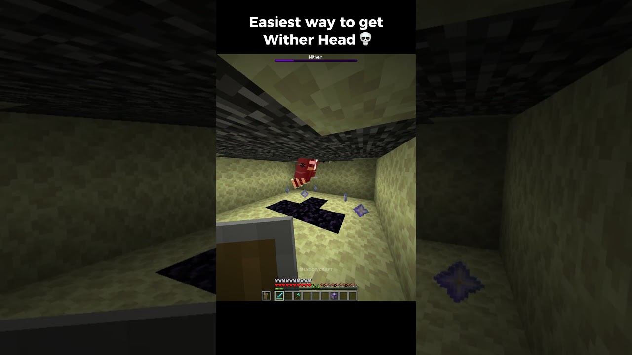 POV: You know how to get the Nether Star *EASY*