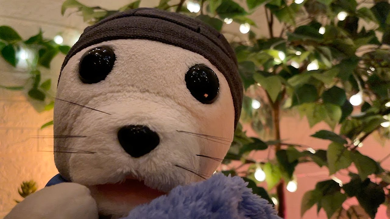 Ultimate Fluffy Seal ASMR Night Pamper | Gentle Personal Attention 🌌