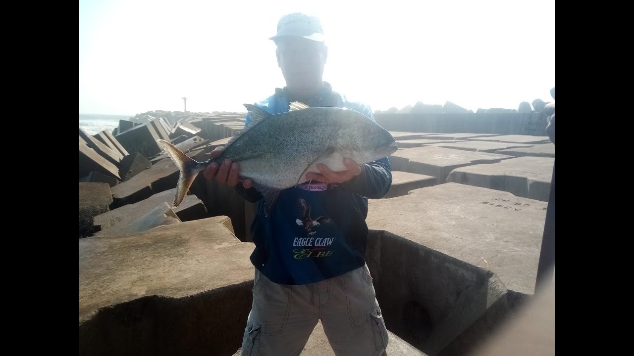 Kingfish off South Pier -Durban Harbour