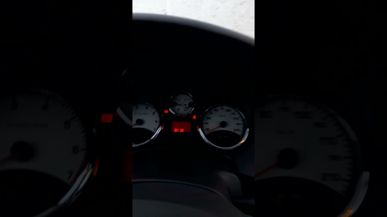 Peugeot 207 SW 1.4 VTi Cold Start -16&deg;C