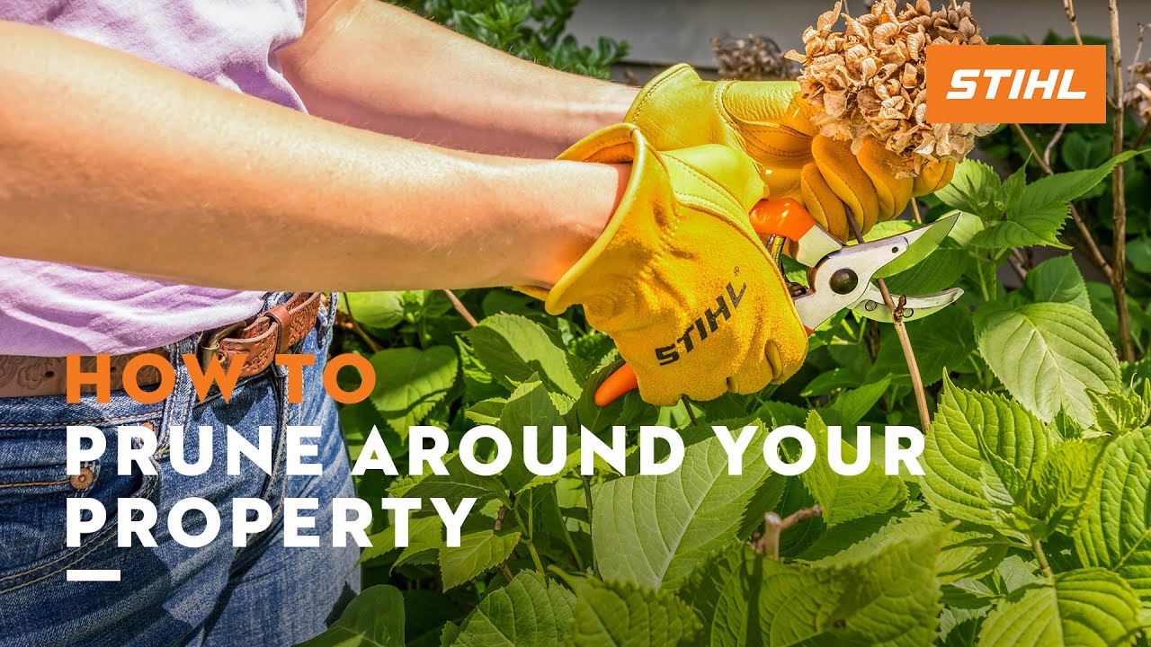 How to Prune Around Your Property | STIHL Tips