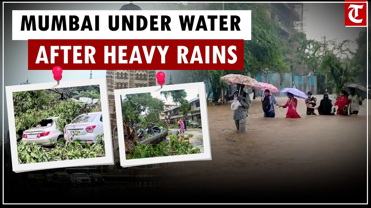 Mumbai Rains : Trees Fall, Highways Flooded, Subways Waterlogged as Monsoon Batters City