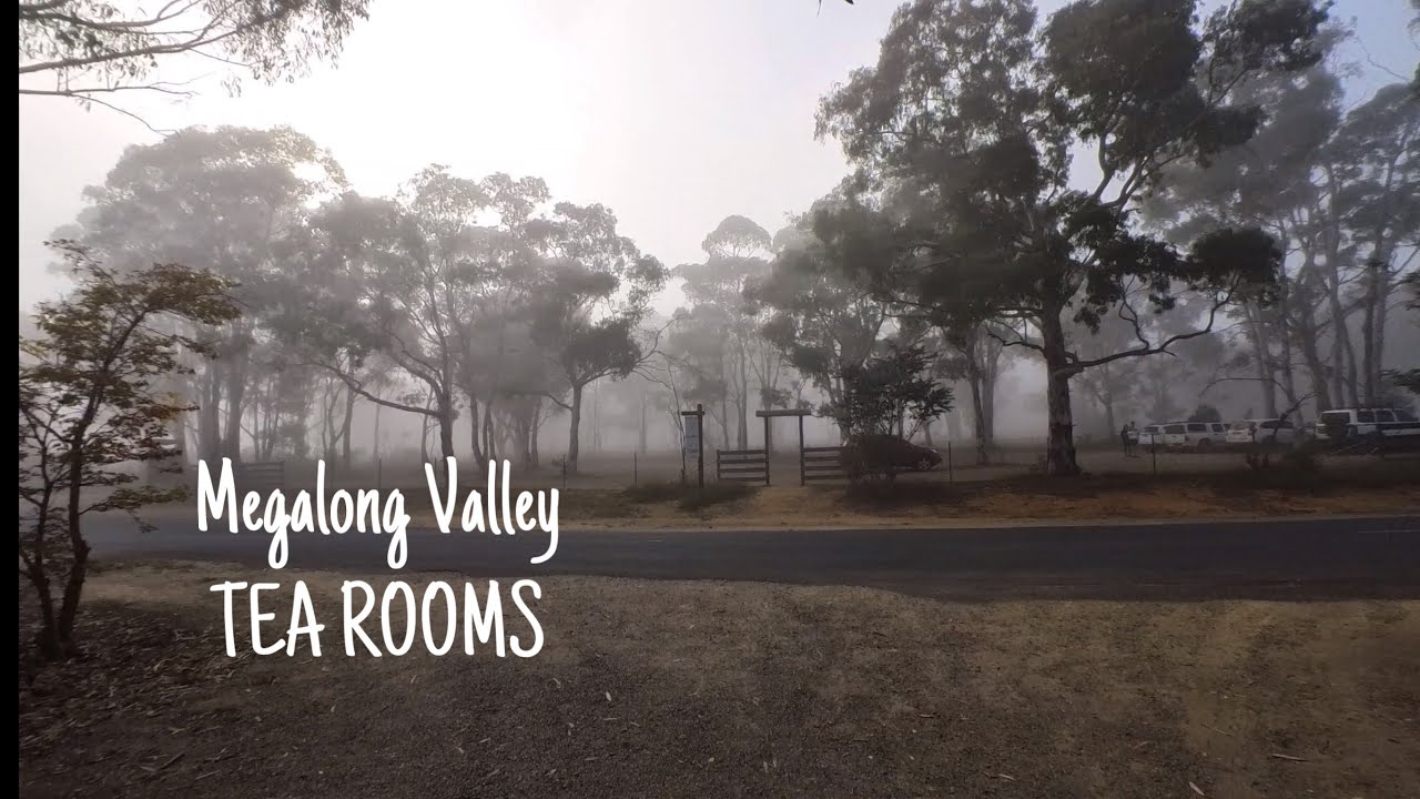 Short trip to Megalong Valley / MEGALONG VALLEY TEA ROOMS  #nsw #megalongvalley #roadtrip