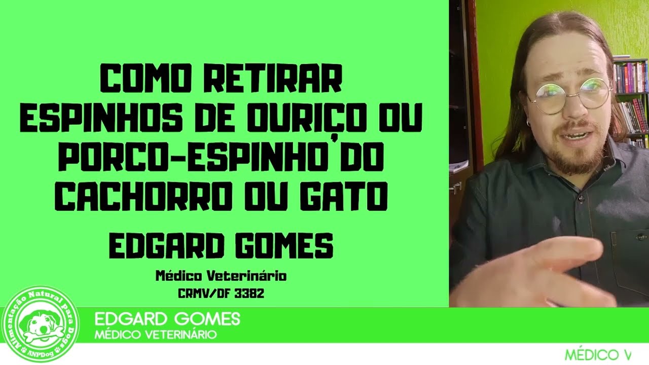 Como retirar ESPINHOS de ouriço ou porco-espinho de Cães e Gatos | Dr Edgard Gomes