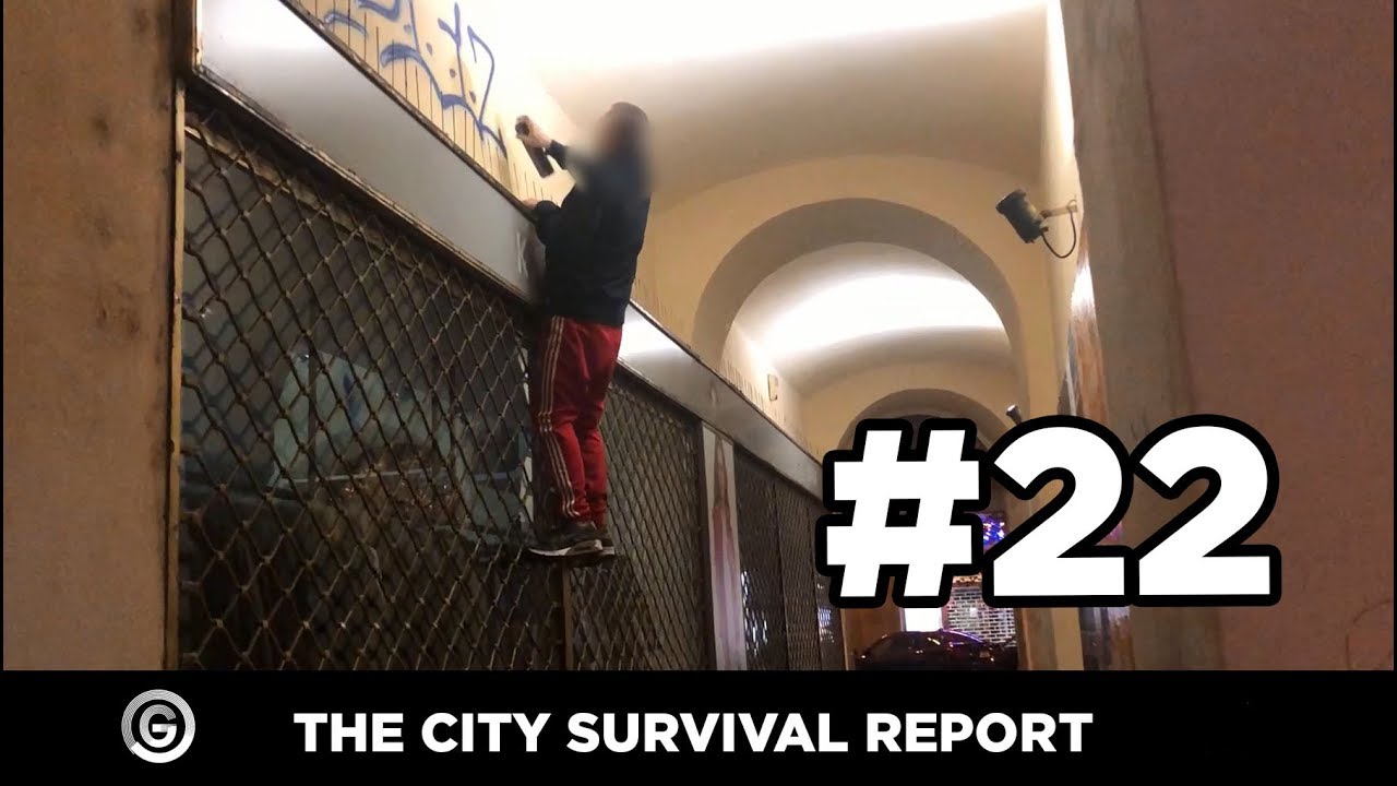 The City Survival Report #22