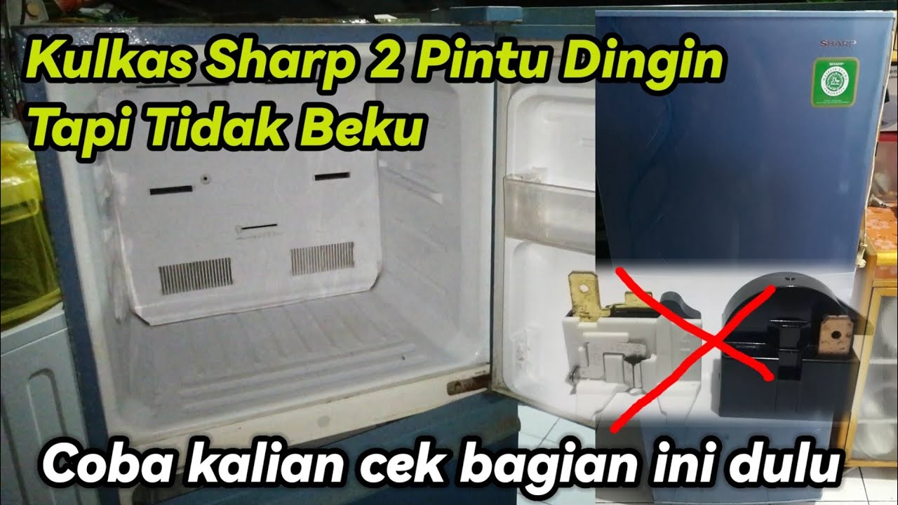 JANGAN SAMPAI SALAH ANALISA KETIKA KULKAS SHARP 2 PINTU DINGIN TAPI TIDAK BISA BEKU