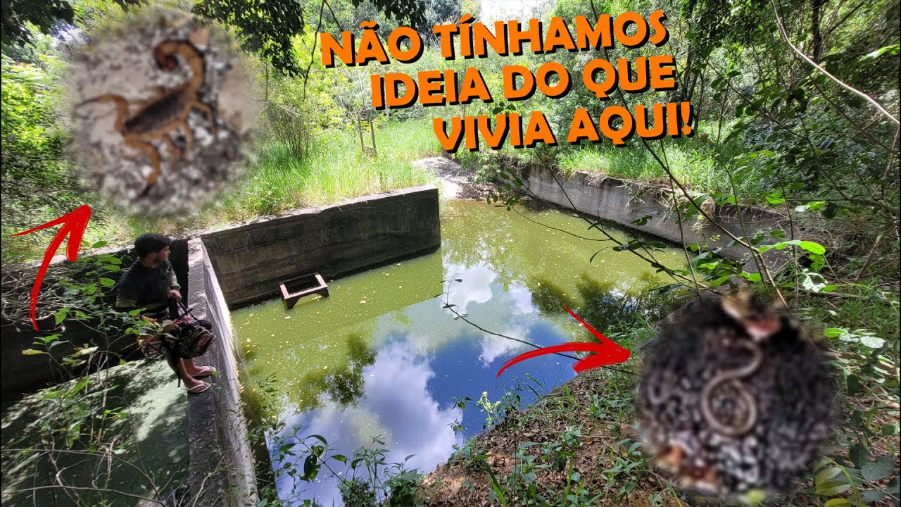 UM TANQUE GIGANTE COM PEIXES NUMA INDUSTRIA ABANDONADA!