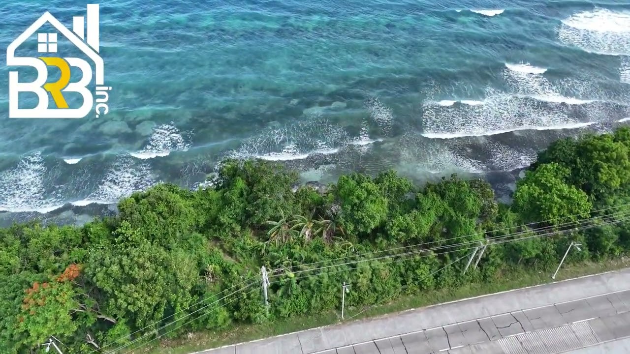 SEAVIEW PROPERTY FOR SALE | 2,321 SQM LOT | TITLED | LILA BOHOL PHILIPPINES
