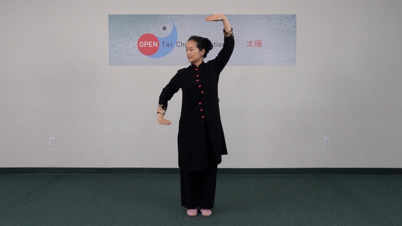 Dao Yin Yang Sheng 12 Movements | 導引養生功十二法 全套示範 有口訣&動作名稱