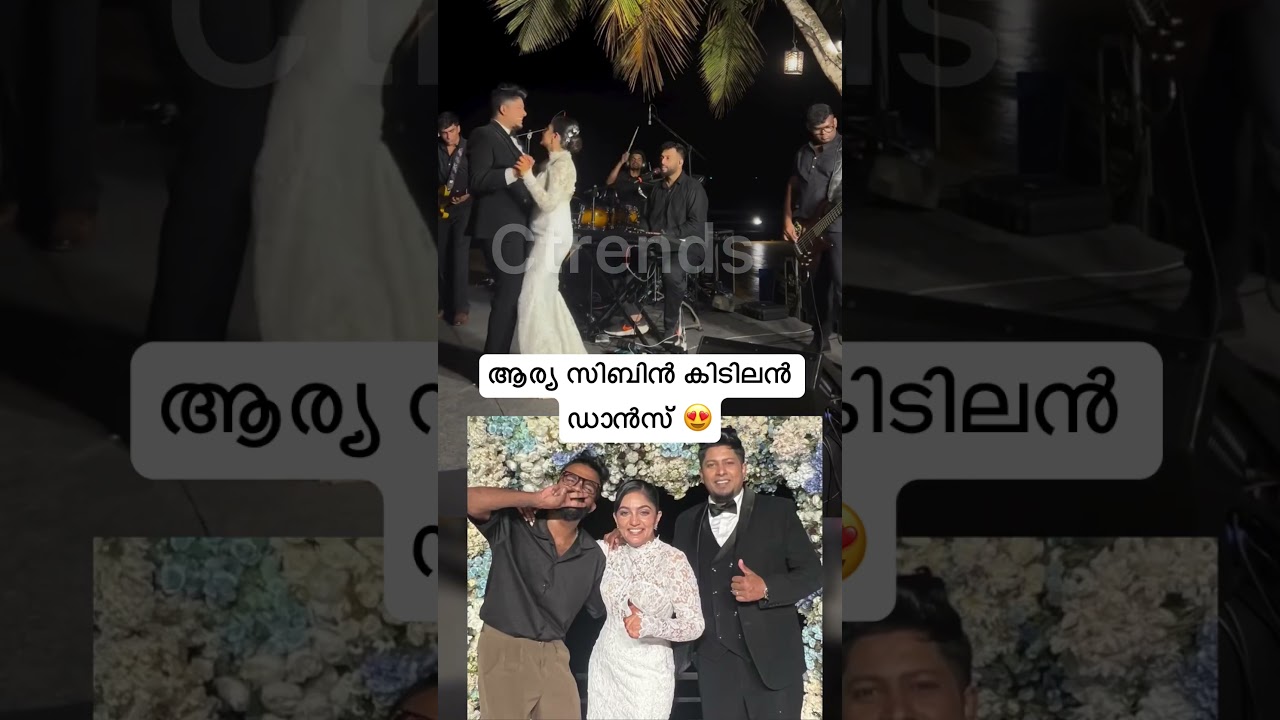 arya badai and sibin wedding reception