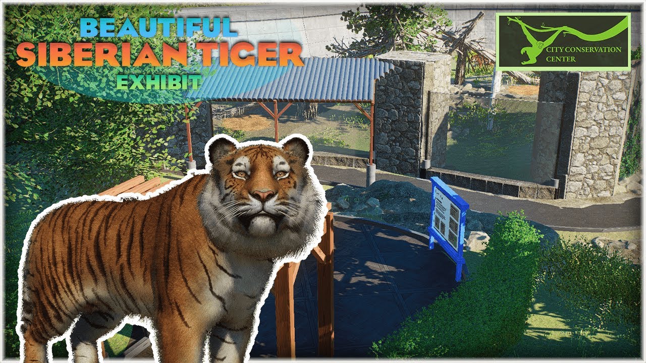 Beautiful Siberian Tiger Habitat! | City Conservation Center