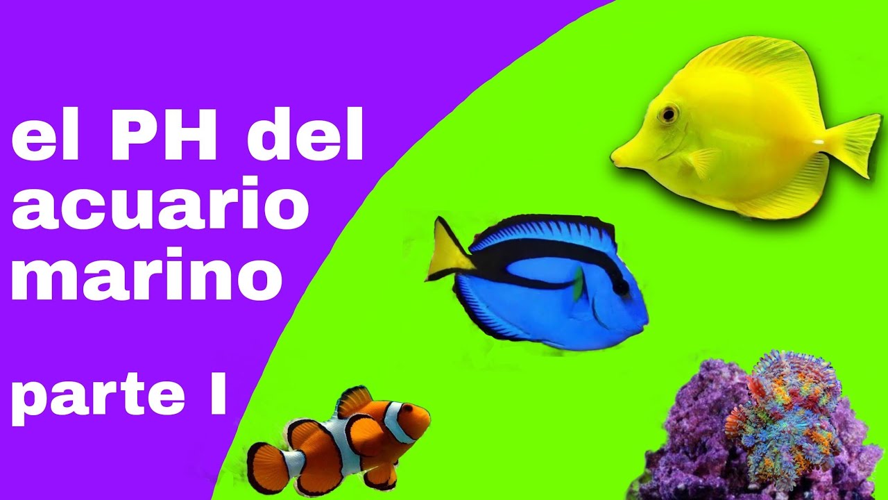 el PH del acuario marino. parte 1 de 2