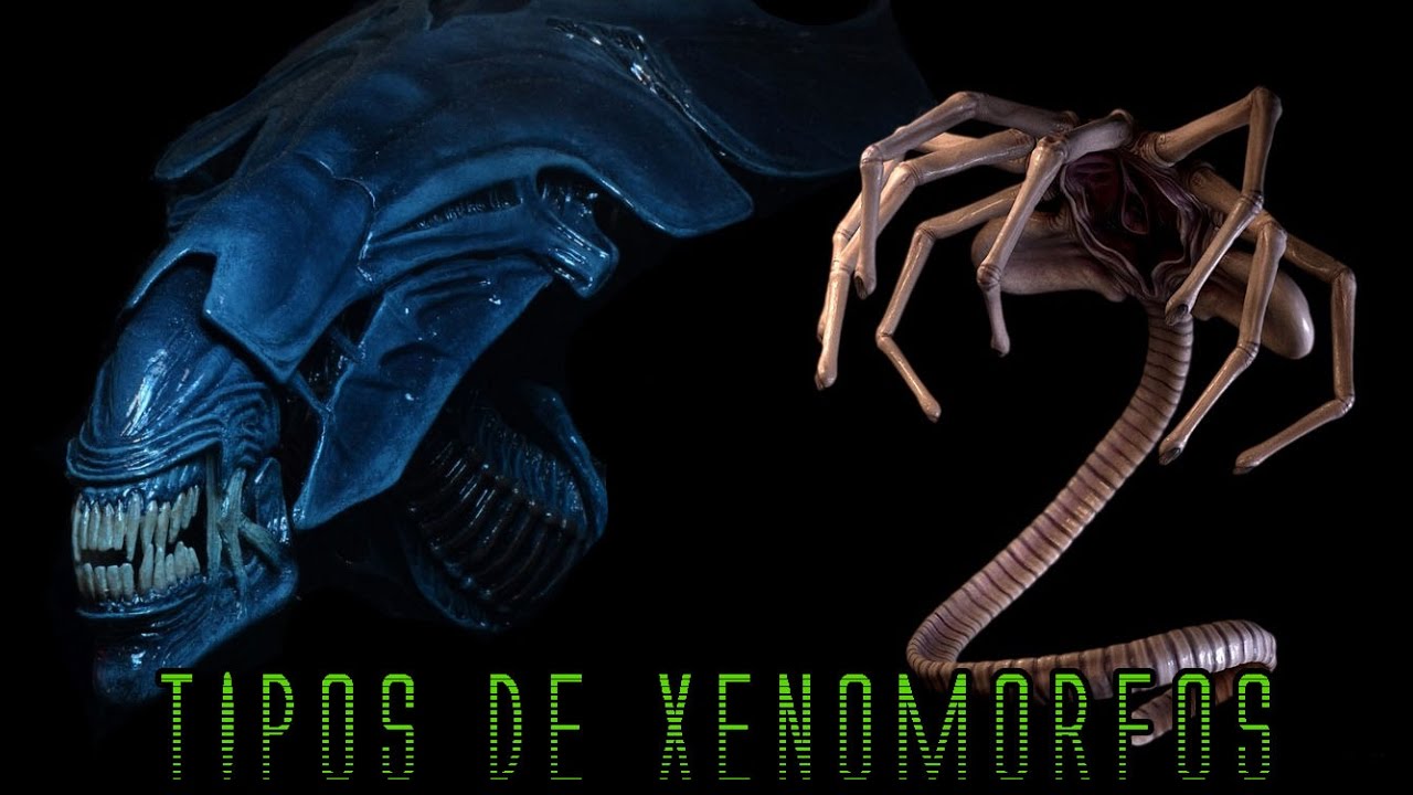 TIPOS DE XENOMORFOS DENTRO DE UNA COLMENA (ALIENS) - MaxiLunaPMY
