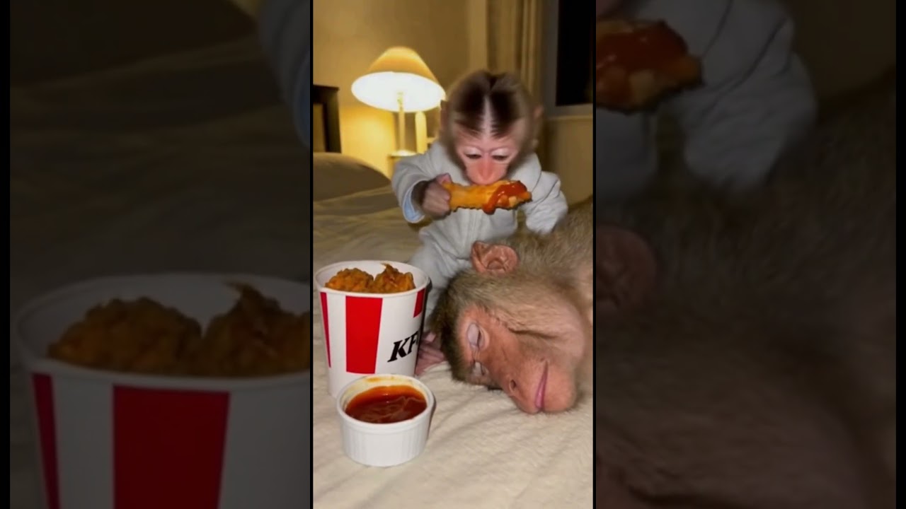 He just wanted his chicken 🤣#kfc #funny #fyp