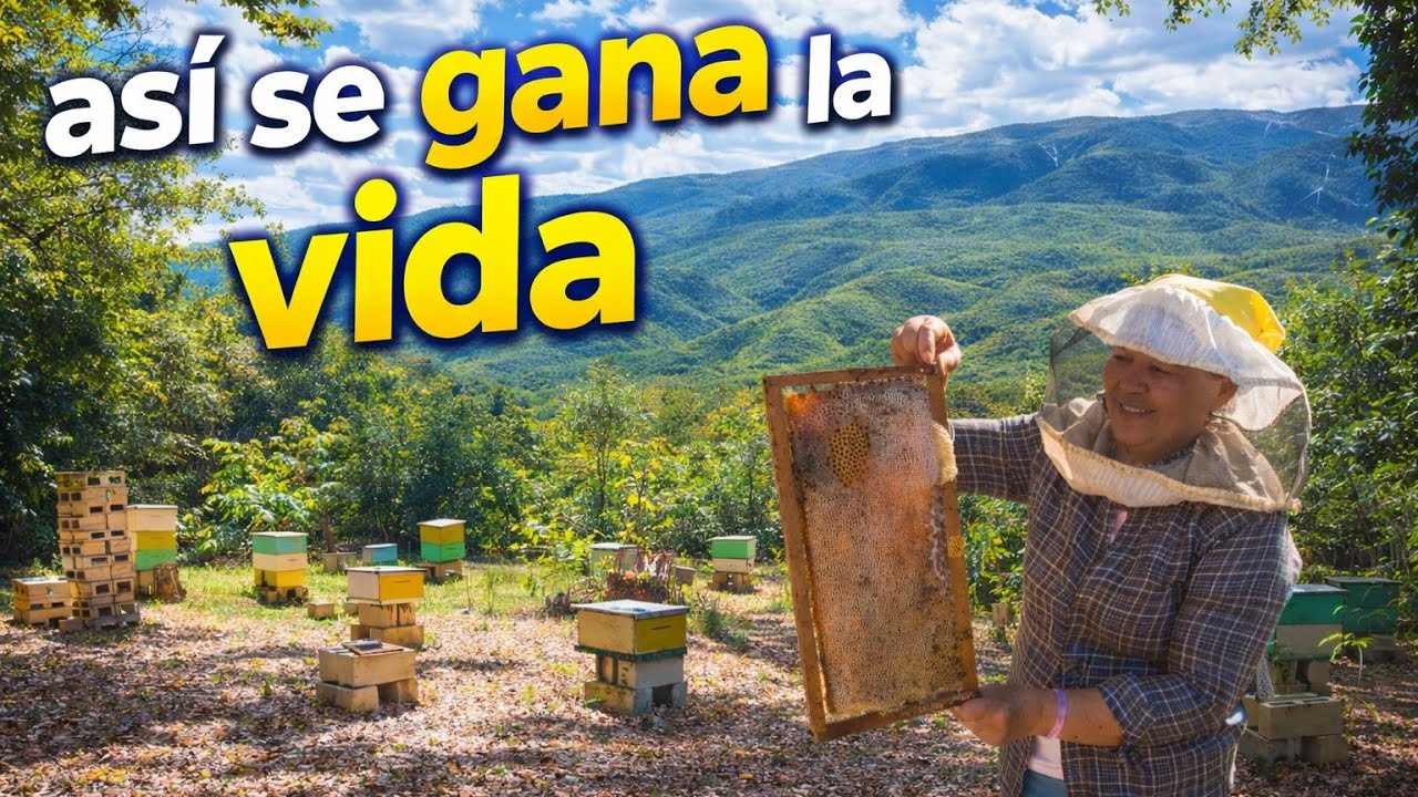 Vive de esta labor en el campo | Así se gana la vida con las abejas 🐝