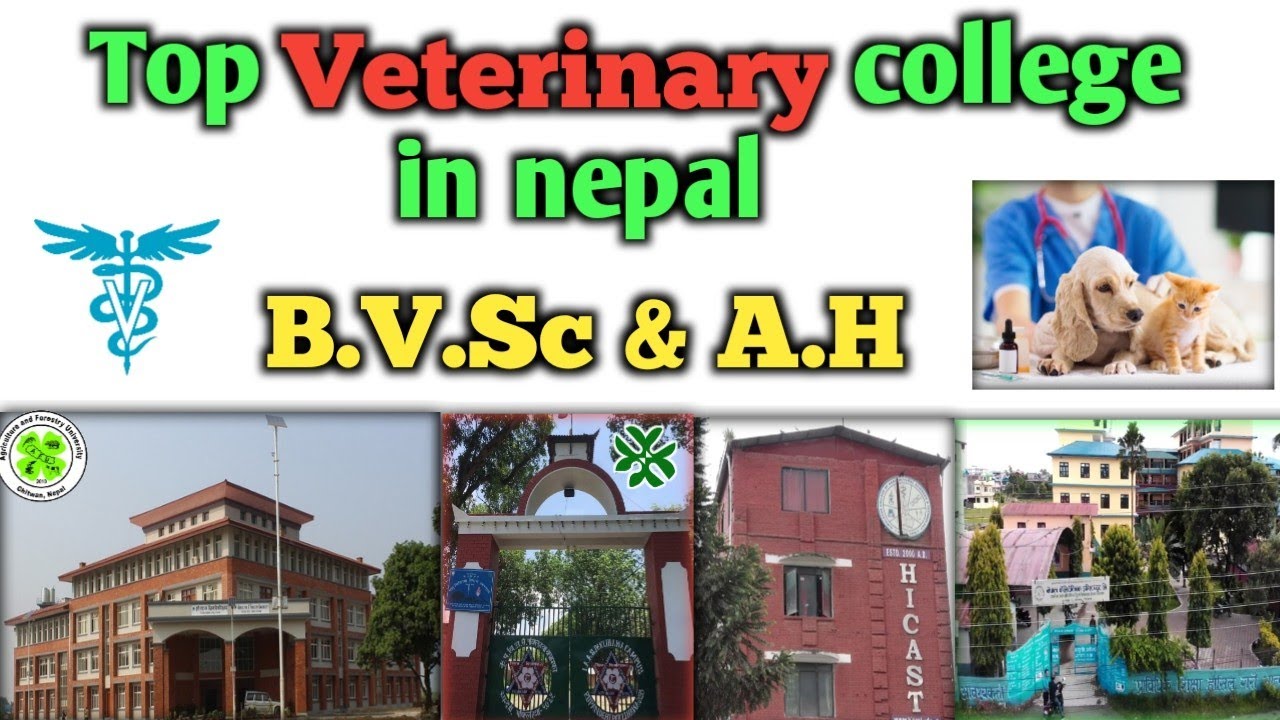 Top veterinary college in nepal | B.v.sc & Ah | AFU,TU,NPI,HICAST