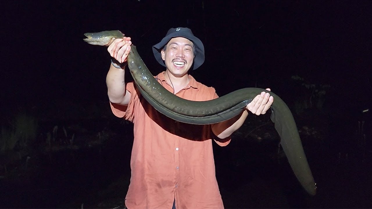 사람도 기절시켜 버립니다..! 아마존 강에 살고 있는 초대형 전기뱀장어를 잡아서 먹어보겠습니다