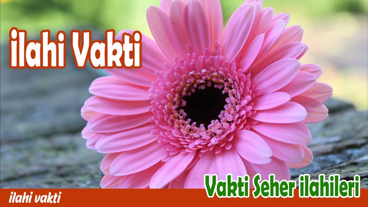 İlahi Vakti 💖 En Güzel Sevilen Karışık İlahiler  💖 İlahi Bahçesi