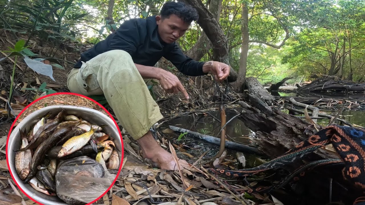 ยามเบ็ดยามมองตอนเช้า อยู่ป่าคนเดี่ยว//ຍາມເບັດຍາມມອງຕອນເຊົ້າ ຢູ່ປ່າຄົນດຽວ🐟🐟🐟