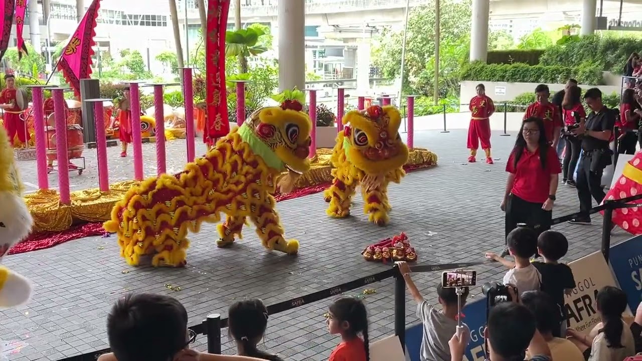 LION DANCE | DUO LION DANCE | WENYANG | PUNGGOL SAFRA