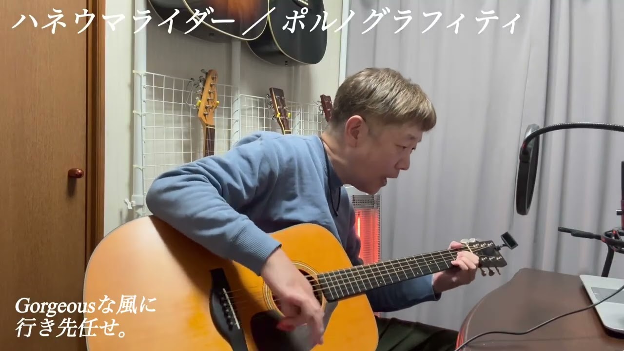ハネウマライダー ／ ポルノグラフィティ 🎶 アコギ弾き語り 🎸