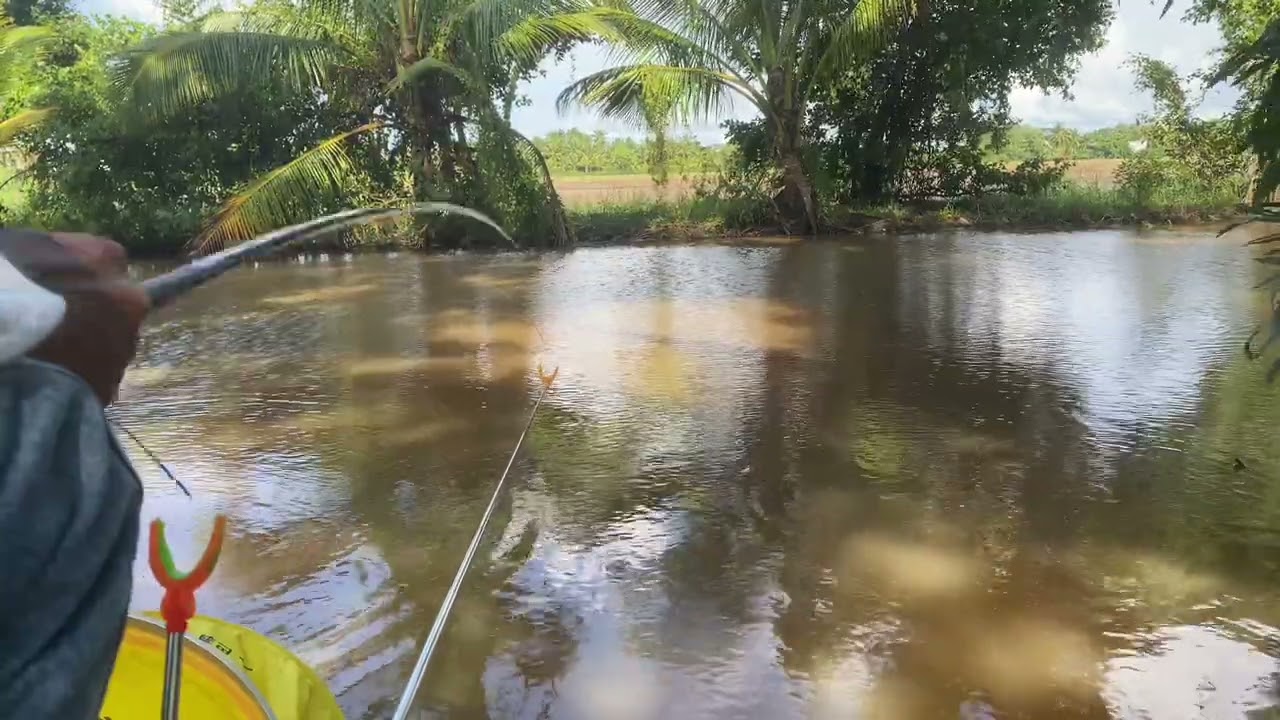 Hành trình tìm con cá kể tập 1 